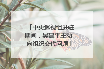 中央巡视组进驻期间，吴建平主动向组织交代问题