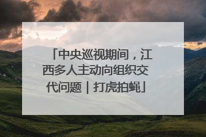 中央巡视期间，江西多人主动向组织交代问题｜打虎拍蝇