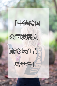中德跨国公司发展交流论坛在青岛举行