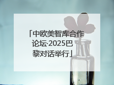 中欧美智库合作论坛·2025巴黎对话举行