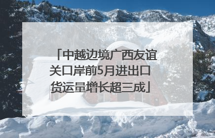 中越边境广西友谊关口岸前5月进出口货运量增长超三成