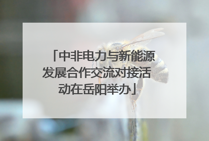 中非电力与新能源发展合作交流对接活动在岳阳举办
