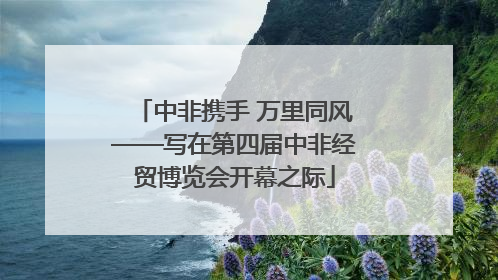 中非携手 万里同风——写在第四届中非经贸博览会开幕之际