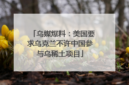 乌媒爆料：美国要求乌克兰不许中国参与乌稀土项目