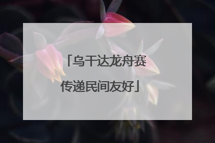 乌干达龙舟赛传递民间友好