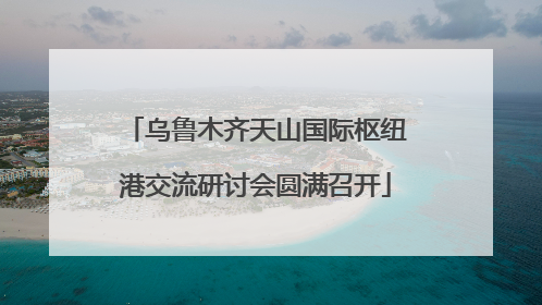 乌鲁木齐天山国际枢纽港交流研讨会圆满召开