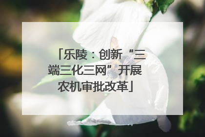 乐陵：创新“三端三化三网”开展农机审批改革