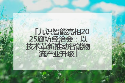 九识智能亮相2025廊坊经洽会：以技术革新推动智能物流产业升级