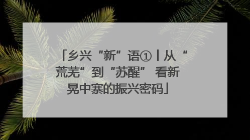 乡兴“新”语①丨从“荒芜”到“苏醒” 看新晃中寨的振兴密码