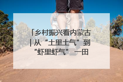 乡村振兴看内蒙古｜从“土里土气”到“虾里虾气” 一田双收模式火出圈