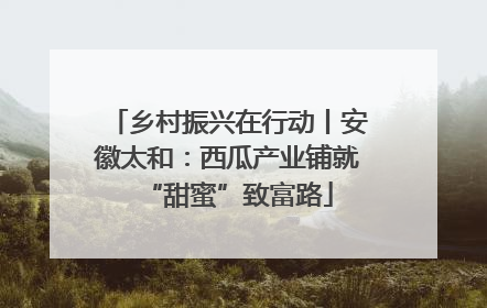 乡村振兴在行动丨安徽太和：西瓜产业铺就“甜蜜”致富路