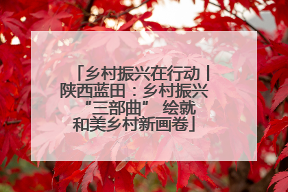 乡村振兴在行动丨陕西蓝田：乡村振兴 “三部曲” 绘就和美乡村新画卷