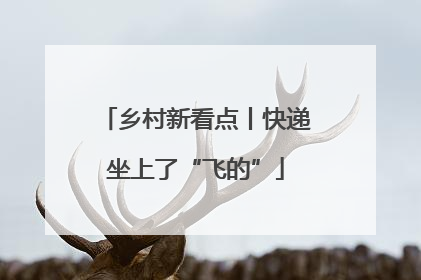 乡村新看点丨快递坐上了“飞的”