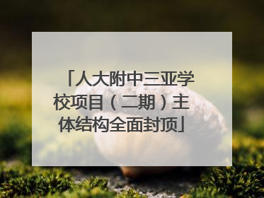 人大附中三亚学校项目（二期）主体结构全面封顶