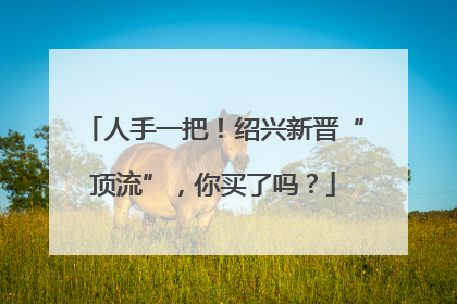 人手一把！绍兴新晋“顶流”，你买了吗？