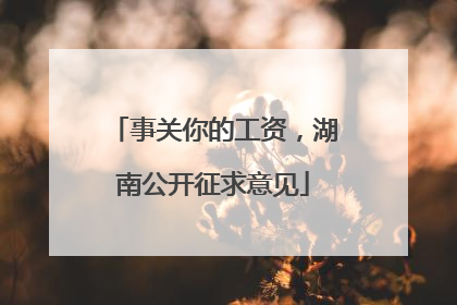 事关你的工资，湖南公开征求意见