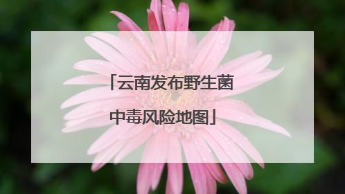 云南发布野生菌中毒风险地图