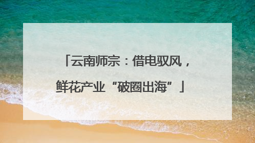 云南师宗：借电驭风，鲜花产业“破圈出海”