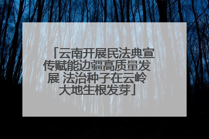 云南开展民法典宣传赋能边疆高质量发展 法治种子在云岭大地生根发芽