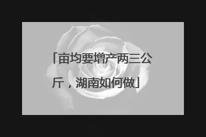 亩均要增产两三公斤，湖南如何做