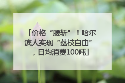 价格“腰斩”！哈尔滨人实现“荔枝自由”，日均消费100吨