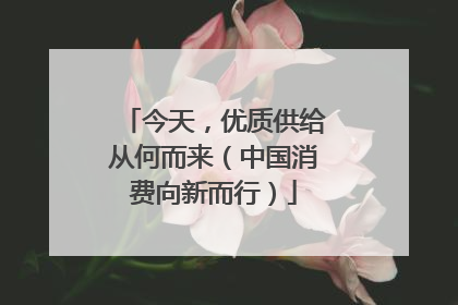今天，优质供给从何而来（中国消费向新而行）