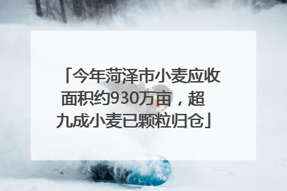 今年菏泽市小麦应收面积约930万亩，超九成小麦已颗粒归仓
