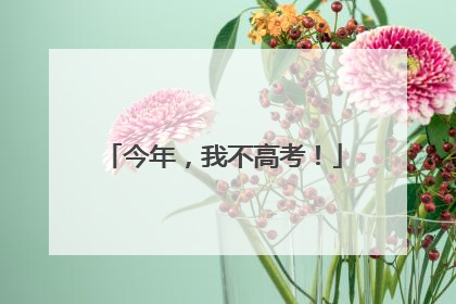 今年，我不高考！