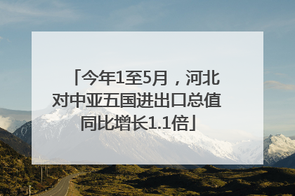 今年1至5月，河北对中亚五国进出口总值同比增长1.1倍