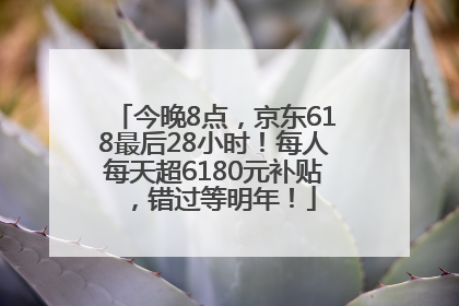 今晚8点，京东618最后28小时！每人每天超6180元补贴，错过等明年！