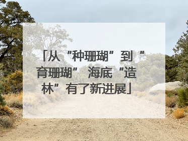 从“种珊瑚”到“育珊瑚” 海底“造林”有了新进展