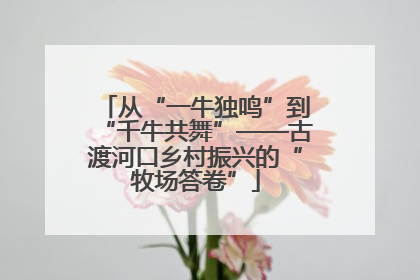 从“一牛独鸣”到“千牛共舞”——古渡河口乡村振兴的“牧场答卷”