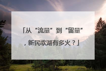 从“流量”到“留量”，新民歌湖有多火？