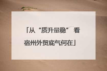 从“质升量稳” 看宿州外贸底气何在