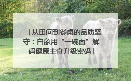 从田间到餐桌的品质坚守：白象用“一碗面”解码健康主食升级密码