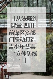 从法庭到课堂 四川前锋区多部门联动打造青少年禁毒“立体防线”