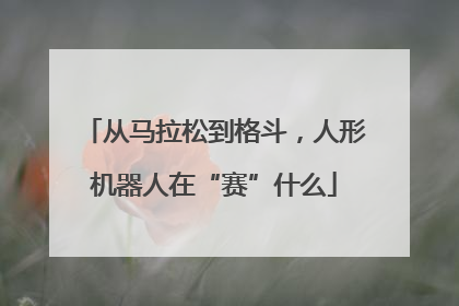 从马拉松到格斗，人形机器人在“赛”什么