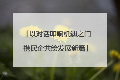 以对话叩响机遇之门 携民企共绘发展新篇