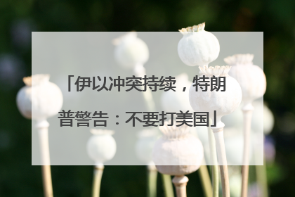 伊以冲突持续，特朗普警告：不要打美国