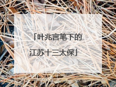 叶兆言笔下的江苏十三太保