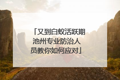 又到白蚁活跃期 池州专业防治人员教你如何应对