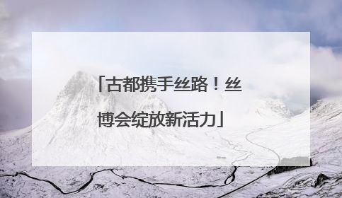 古都携手丝路！丝博会绽放新活力