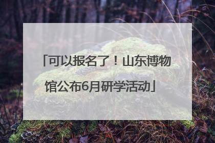 可以报名了！山东博物馆公布6月研学活动