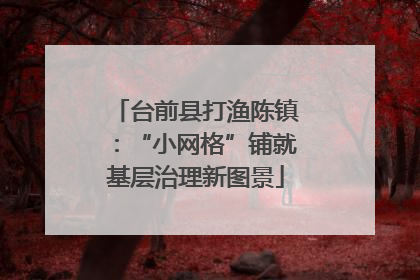 台前县打渔陈镇：“小网格”铺就基层治理新图景