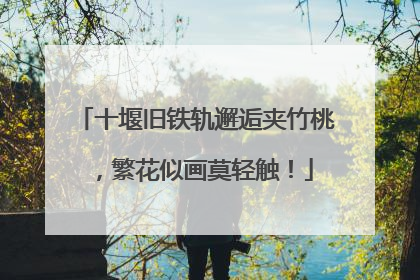 十堰旧铁轨邂逅夹竹桃，繁花似画莫轻触！
