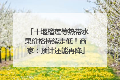 十堰榴莲等热带水果价格持续走低！商家：预计还能再降