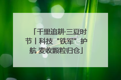 千里追耕·三夏时节丨科技“铁军”护航 麦收颗粒归仓