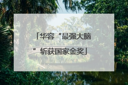 华容“最强大脑”斩获国家金奖
