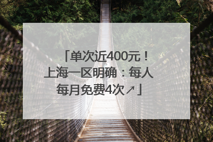 单次近400元！上海一区明确：每人每月免费4次↗