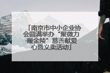 南京市中小企业协会圆满举办“聚微力·暖金陵”慈善献爱心暨义卖活动